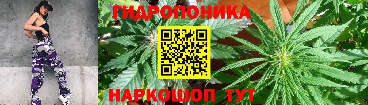 Канабис OG Kush Полысаево